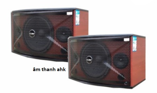 Loa karaoke CAF TW-3010 cao cấp