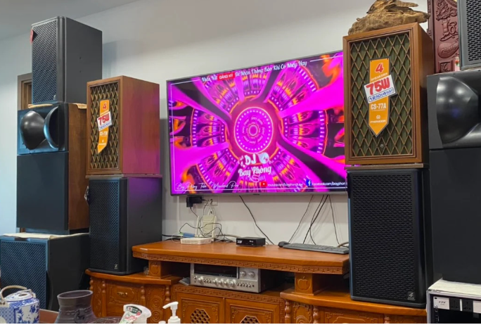 Có nên ghép loa nằm bass 25 và loa full bass 30 trong cùng bộ dàn karaoke